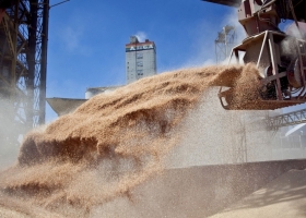 Se recuperan las exportaciones de harina de soja de Argentina