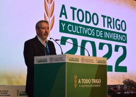 Tenemos la oportunidad un experto habló del trigo y dejó un mensaje para la nueva campaña