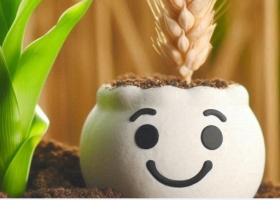 Un estudio realizado por CREA muestra que al gobierno le conviene más eliminar el impuesto PAIS en fertilizantes que mantenerlo