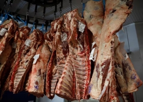 Ahorro de burocracia. El Gobierno de Milei derogó resoluciones kirchneristas y hay alivio para un negocio