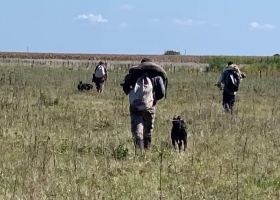 Fuera de control. Temor en dos municipios por crecientes hechos de inseguridad en los campos
