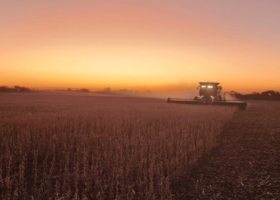 Agrodivisas sigue muy retrasada la cosecha de soja y sorprenden los malos rindes logrados en el norte