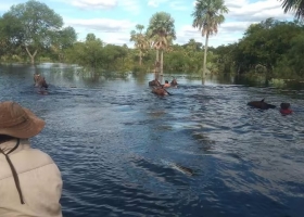 Llovió hasta 350 mm y hay una gran incertidumbre en algunas regiones productivas
