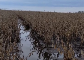 Bomba de agua una zona perdió 1000 milímetros en los últimos tres años y ahora marcó un récord de lluvias