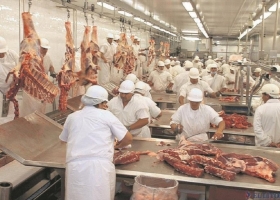 Carne vacuna los envios al exterior crecieron un 25,1% interanual en el primer trimestre del año