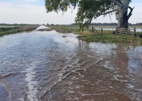 Productores de Carlos Casares están en pie de guerra por un proyecto de sobretasa vial en medio de las inundaciones
