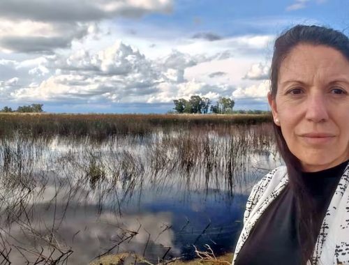 La situación es catastrófica calculan que Buenos Aires tiene 5 millones de hectáreas comprometidas por el agua y hay desesperación en el campo