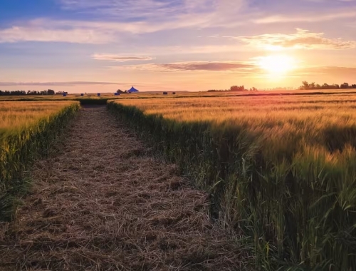 Perspectiva positiva la Argentina ya exporta por US$450 millones de un complejo de fuerte interés mundial