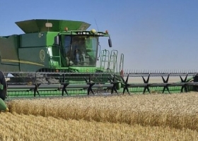 Fiesta del Pan Una buena y una mala noticia para la comercialización de trigo 2025/26