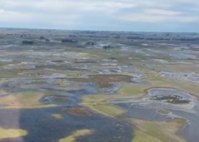 Inundaciones la crisis hídrica impactó en el ritmo nacional de siembra de soja y apareció una sorprendente comparación