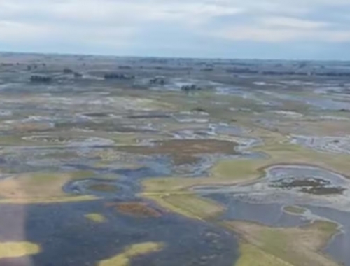 Inundaciones la crisis hídrica impactó en el ritmo nacional de siembra de soja y apareció una sorprendente comparación