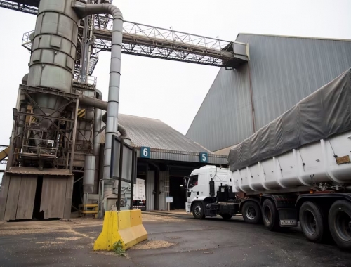 Investigación revelan el fuerte efecto derrame que tendría producir más soja en la Argentina