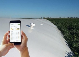 Récord histórico de warrants en Argentina la emisión crece 116% en 2025 y Santa Fe lidera el boom