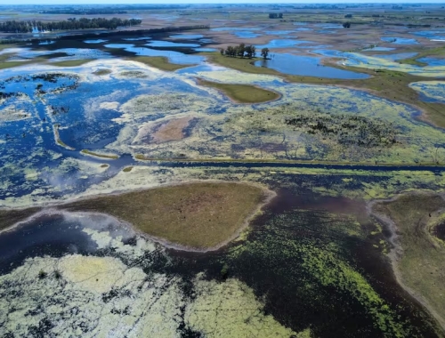 La inundación en Buenos Aires ya es la “más grave en 10 años” hay 5,8 millones de hectáreas afectadas y se perderían US$2000 millones