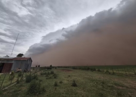 Desastre un feroz temporal arrasó el pulmón verde de un pueblo rural