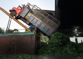 El certificado de defunción de 12.500 productores rechazo de yerbateros a un decreto desregulador de Milei