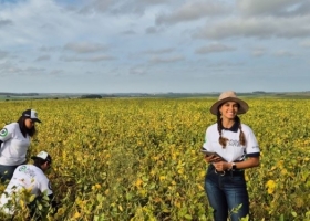Gigante. En apenas seis años Brasil va camino a incrementar la producción de soja en un volumen equivalente al cosechado por la Argentina