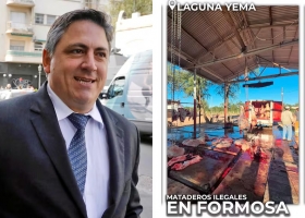 Atentado a la salud pública el senador Paoltroni denunció que en Formosa funcionan mataderos ilegales
