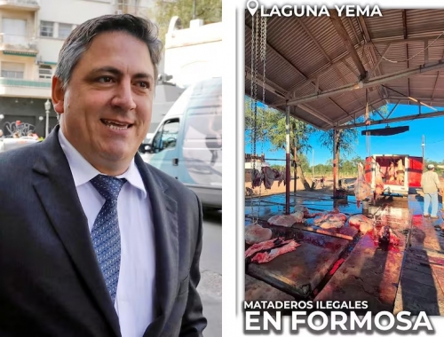 Atentado a la salud pública el senador Paoltroni denunció que en Formosa funcionan mataderos ilegales
