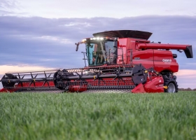 Cambio de paradigma el fenómeno de pequeños y medianos productores con la última tecnología y la nueva joya del mercado