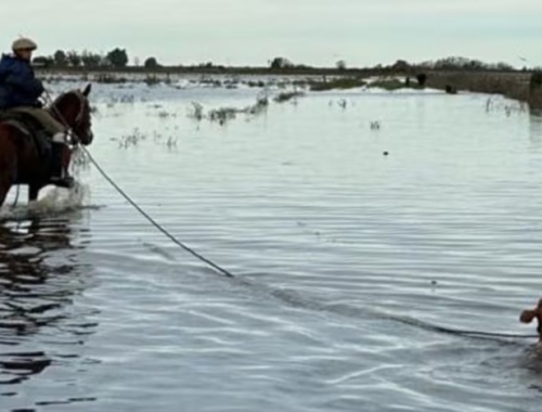 Denuncian que es parcial la reanudación de las obras de dragado en la cuenca del Salado