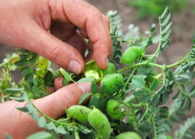 Multas millonarias recrudeció un conflicto entre productores del norte y un organismo oficial