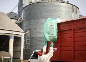 Se invirtieron US$100 millones: ya se reciclan tres de cada cuatro envases vacíos de fitosanitarios y se transforman en caños e insumos energéticos