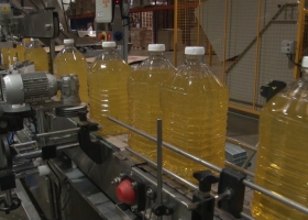 El complejo girasolero consolida su expansión con récord de molienda y crecimiento de las exportaciones.