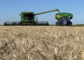 No alcanza en plena cosecha de trigo, la Rural reclamó la eliminación total de las retenciones