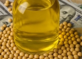 Argentina rompe récord histórico en exportación de aceites vegetales impulsada por India y la demanda global de biocombustibles