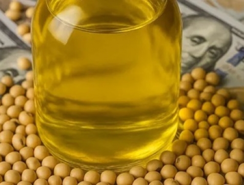 Argentina rompe récord histórico en exportación de aceites vegetales impulsada por India y la demanda global de biocombustibles