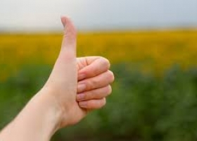 Amplio respaldo a la rebaja de retenciones anunciadas por Economía