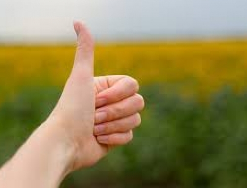 Amplio respaldo a la rebaja de retenciones anunciadas por Economía