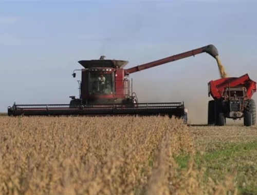 En pausa poca actividad en el mercado de granos a la espera del decreto de retenciones de Milei