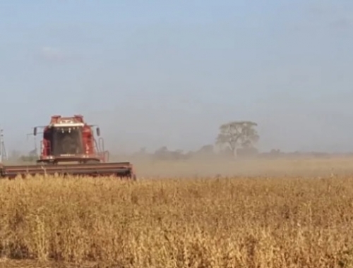 Comercialización agrícola. Falta ponerle precio al 25% de la cosecha argentina de soja 2024/25