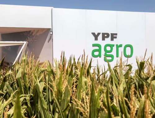Estaba el saco roto por qué YPF quiere un socio para su negocio de agro