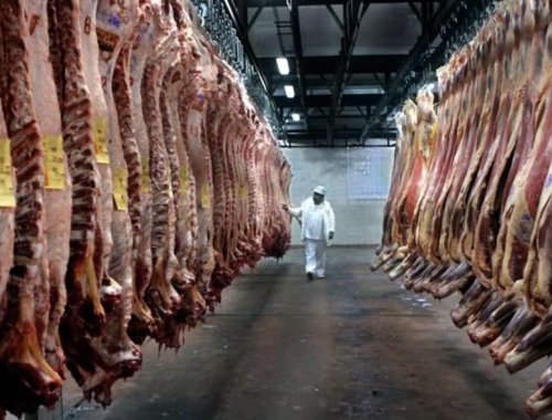 Los números no cierran frigoríficos exportadores adelantaron vacaciones y frenaron la faena
