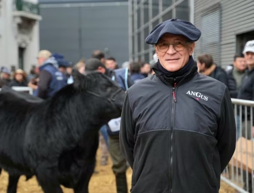 No es un club exclusivo la principal raza bovina del país acelera con un ambicioso plan de expansión