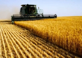 La cosecha de trigo entra en su etapa final y eleva la producción nacional a 27,8 millones de toneladas