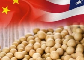 EE.UU. logrará cumplir en 2025/26 con los embarques proyectados de soja