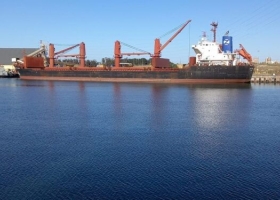 El precio FOB de la cebada forrajera supera al del trigo, pero en el mercado interno la situación es inversa ¿Se están empomando a los productores?