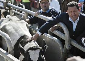 Venezuela los negocios espurios entre los Kirchner y Chávez que tuvieron impacto en el agro argentino