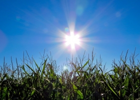 Semana con lluvias próximas, algo de fresco y vuelta al calor