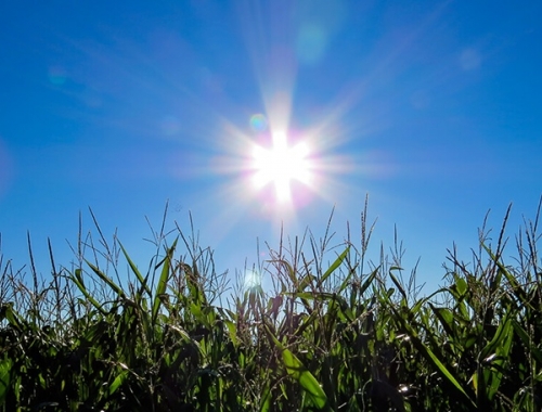 Semana con lluvias próximas, algo de fresco y vuelta al calor