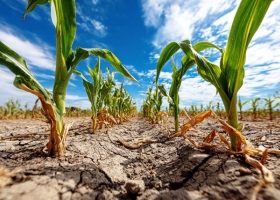 EnBio vuelve con un nuevo formato