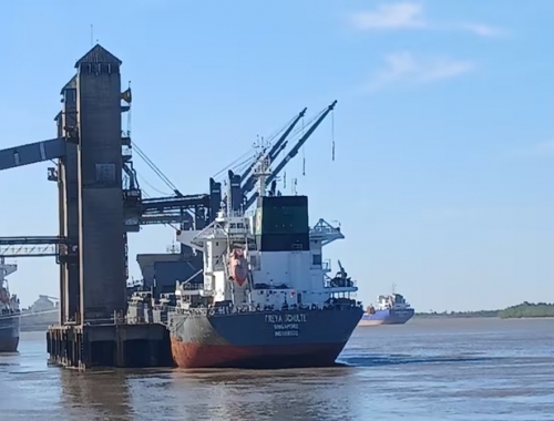 Dos productos del agro que exporta la Argentina están en niveles máximos a nivel internacional y se esperan más dólares