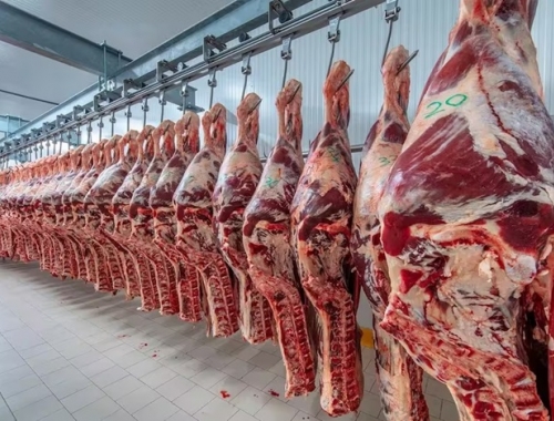 Balance final las exportaciones de carne aumentaron un 28,1% en 2025 y generaron un récord en el ingreso de divisas