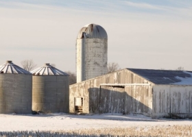 Los productores de soja de EE.UU. aseguran que perderán 185 u$s/ha a pesar de recibir un paquete extraordinario de subsidios