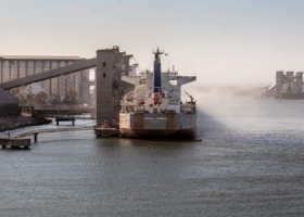 Los productores bonaerenses que apostaron por la cebada recibieron finalmente su merecido premio