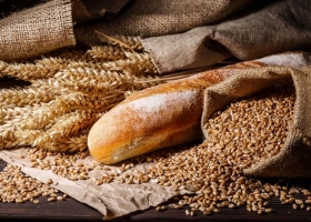 Importantes dificultades la industria molinera reconfiguró su trabajo porque, dijo, le cuesta conseguir buen trigo para panificar